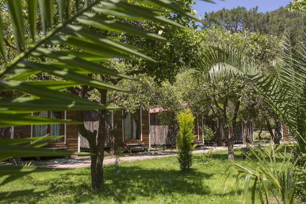 Likya Evleri Olympos 16