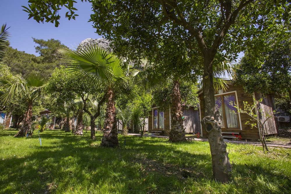 Likya Evleri Olympos 9
