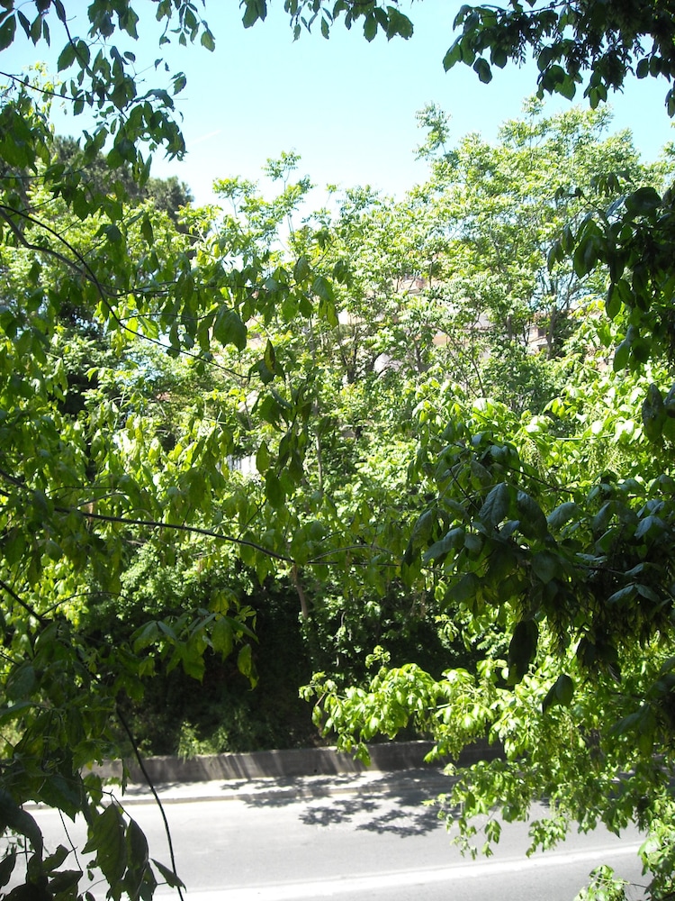 Il Granello di Senape Luxury Bed & Breakfast 12