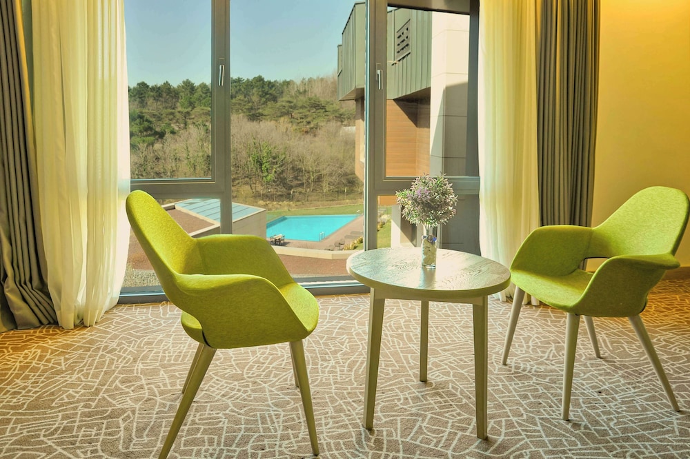 Park Inn by Radisson Istanbul Airport, Odayeri 24