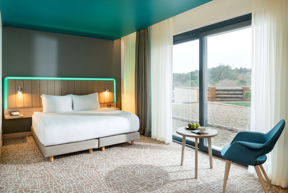 Park Inn by Radisson Istanbul Airport, Odayeri 10