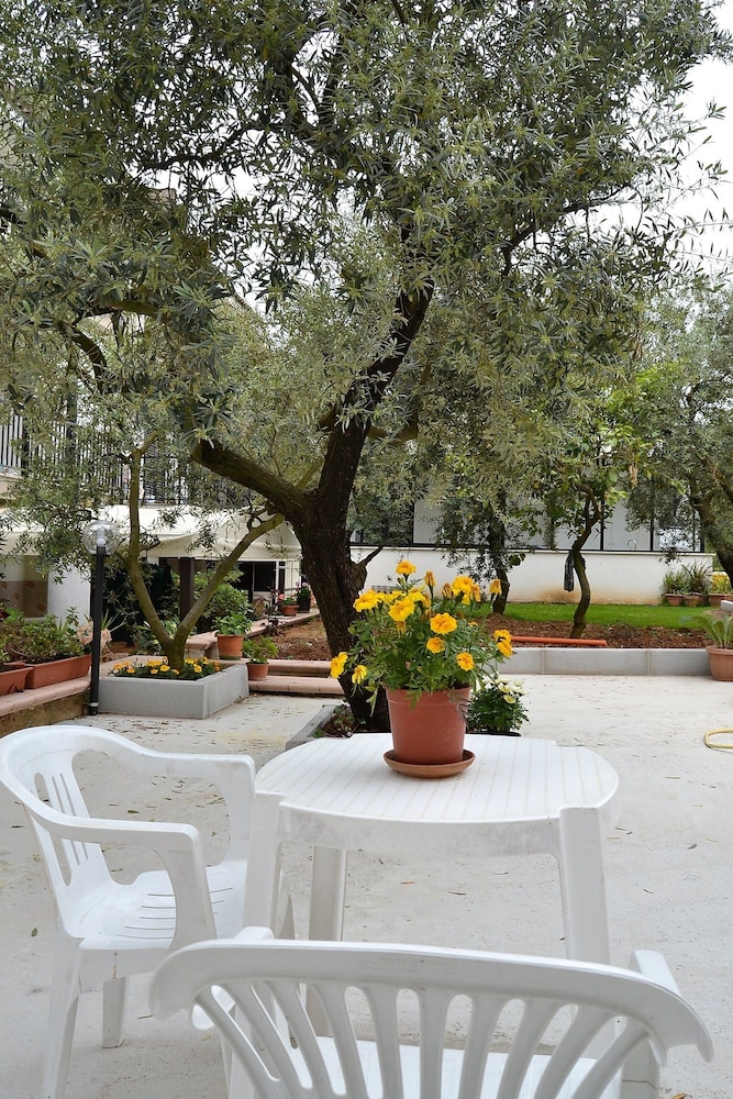 B&B Il Girasole 1