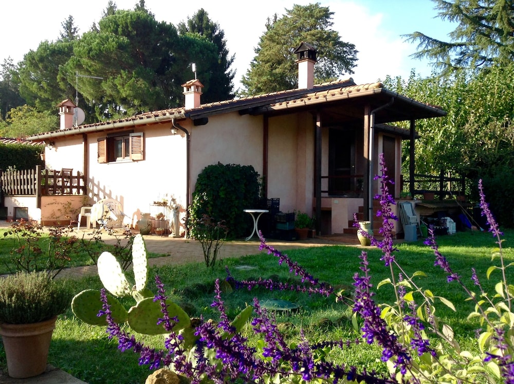 Olive Tree Hill 24