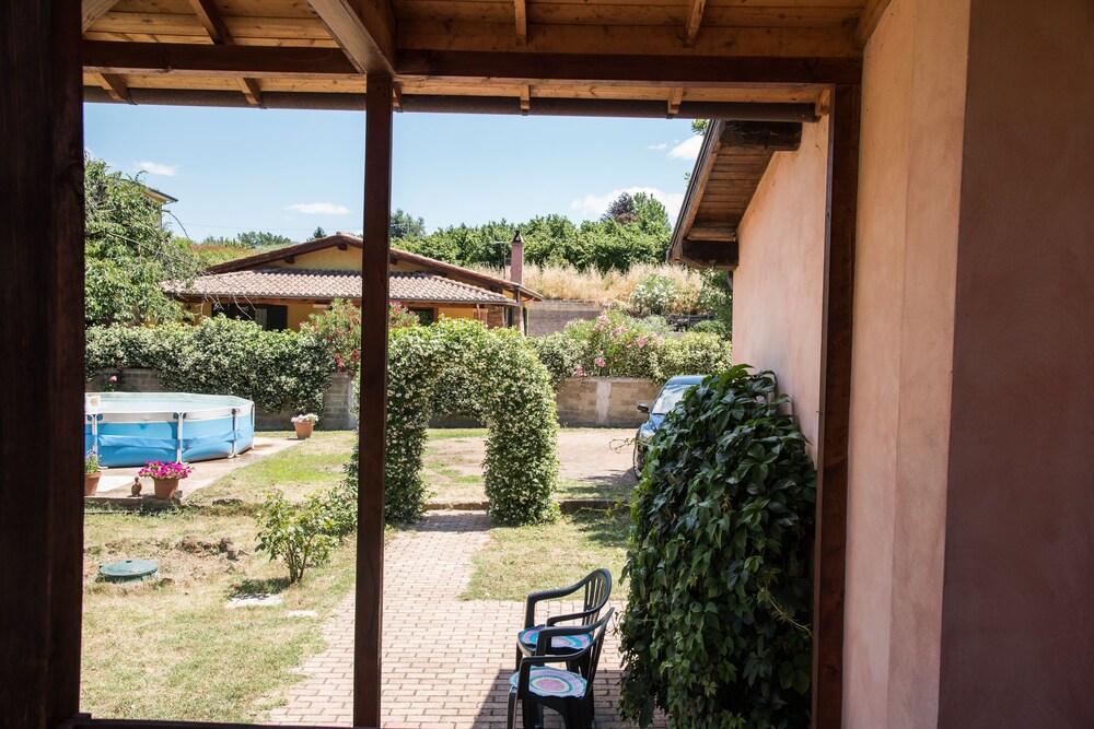 Olive Tree Hill 11