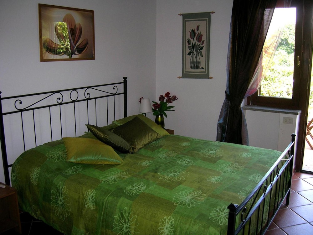 Olive Tree Hill 6