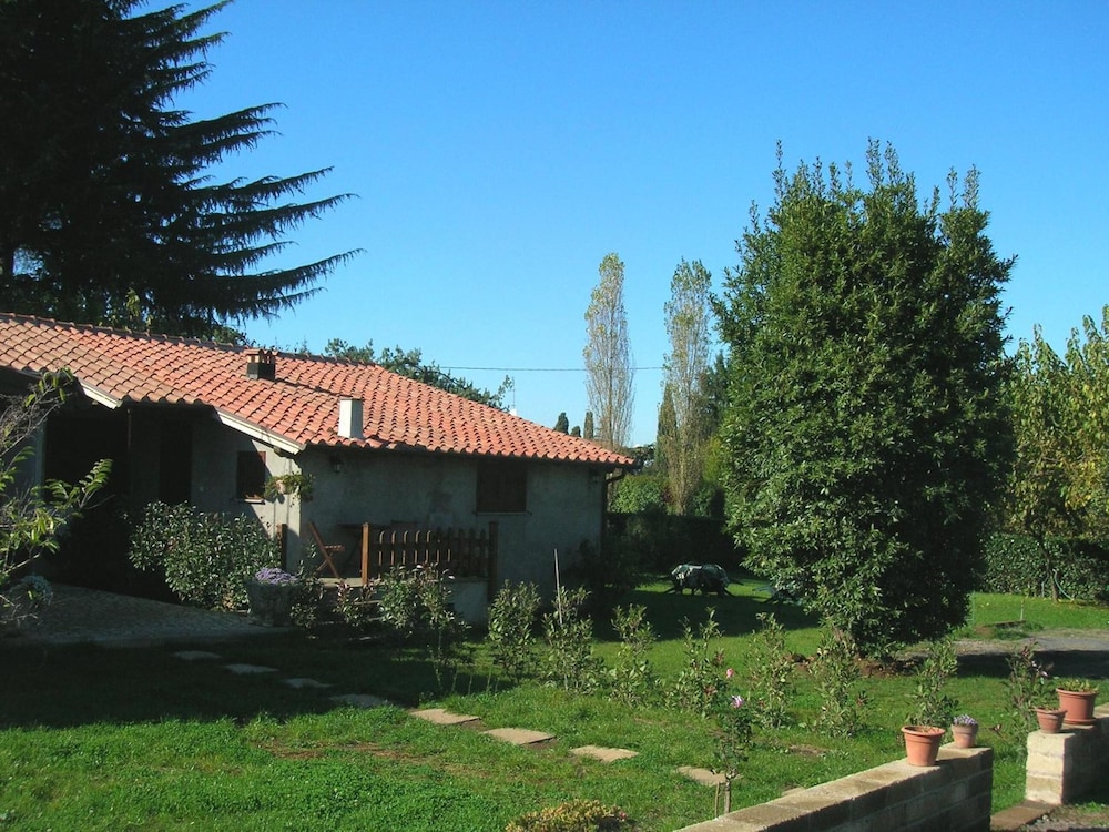 Olive Tree Hill 20