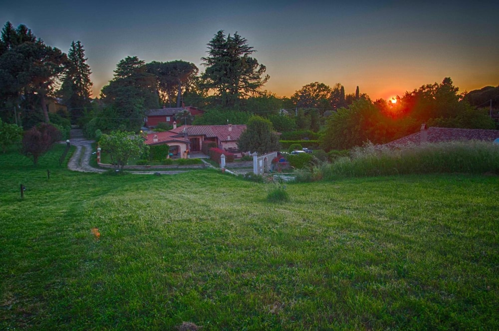 Olive Tree Hill 23