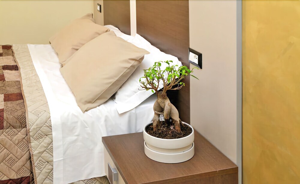 Roma Suite Centro Bed And Breakfast 2