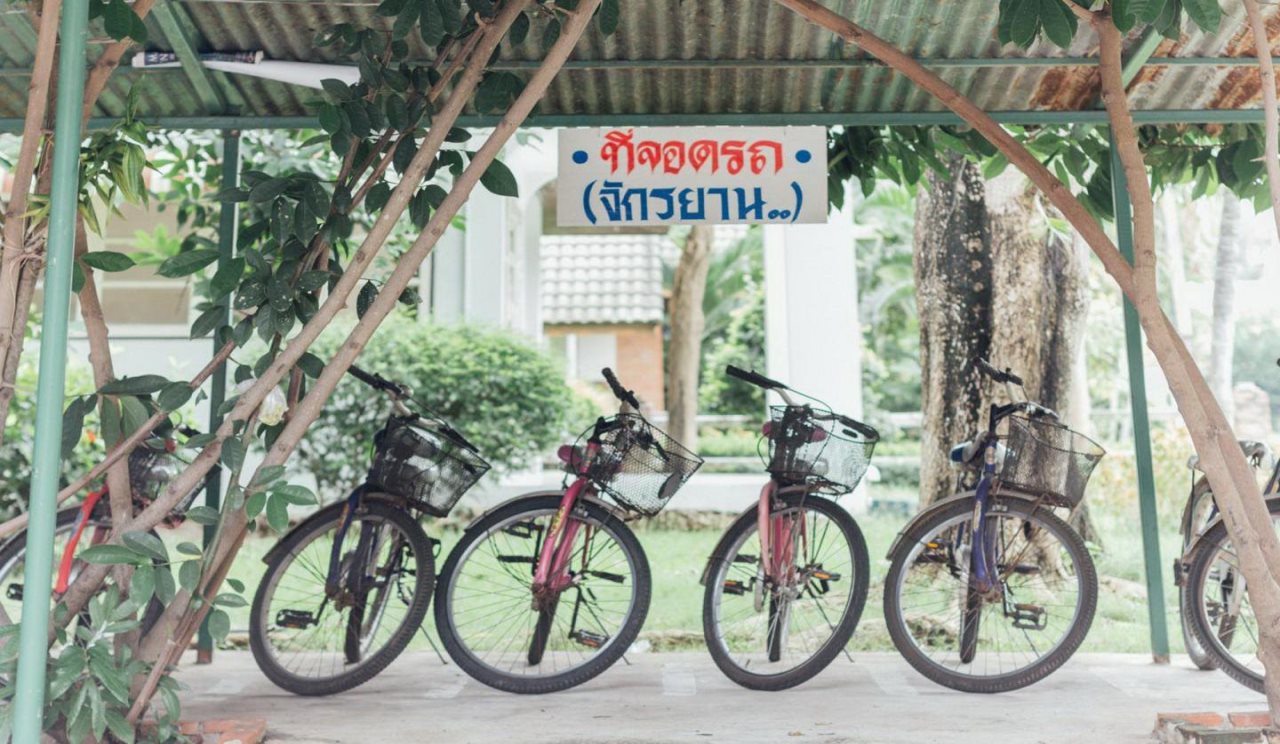 The Pine Resort 3