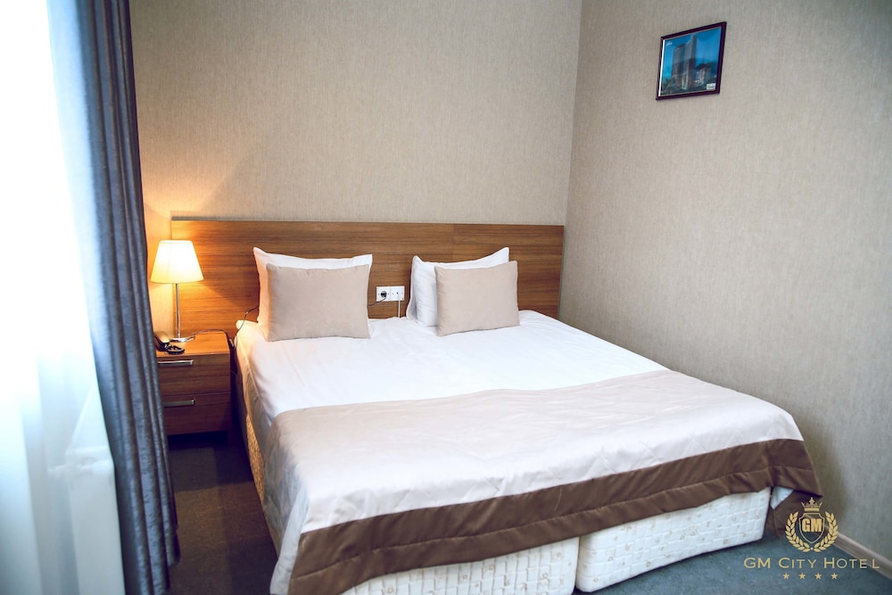 Turkiye Hotel Baku 1