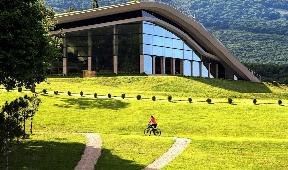 Bioli Medical Wellness Resort 19