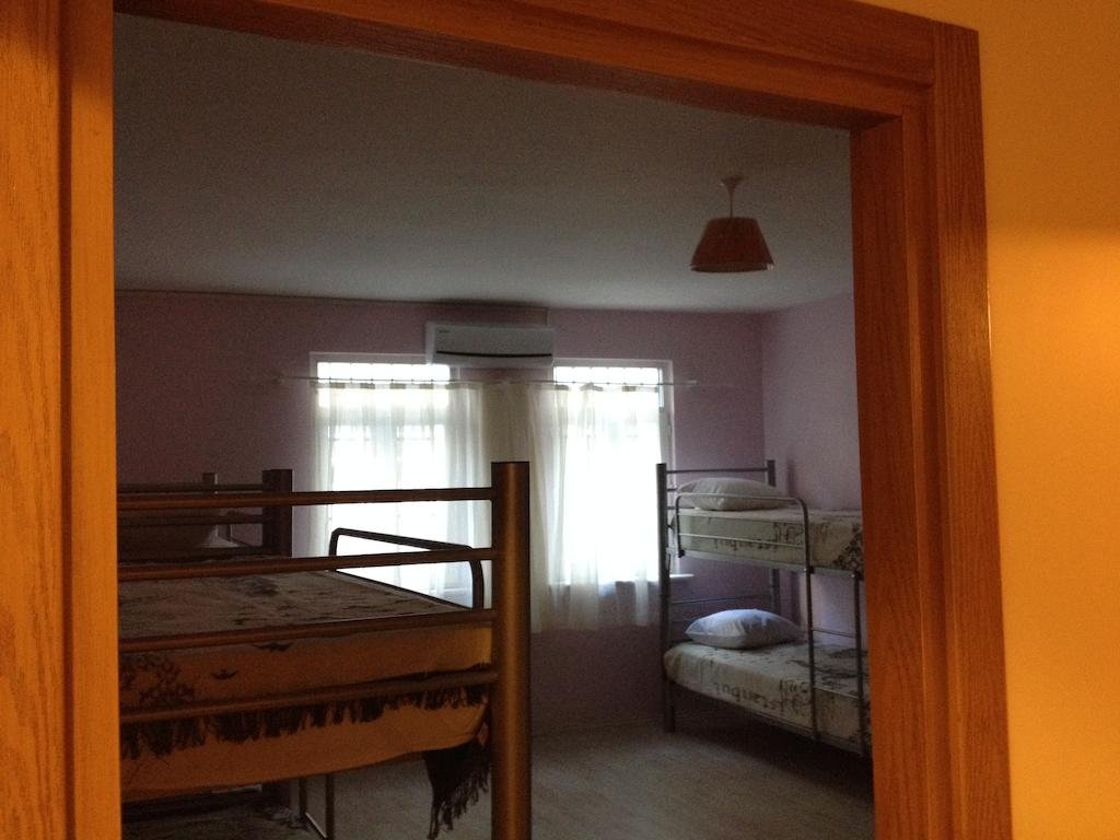 Puffin Suite 2