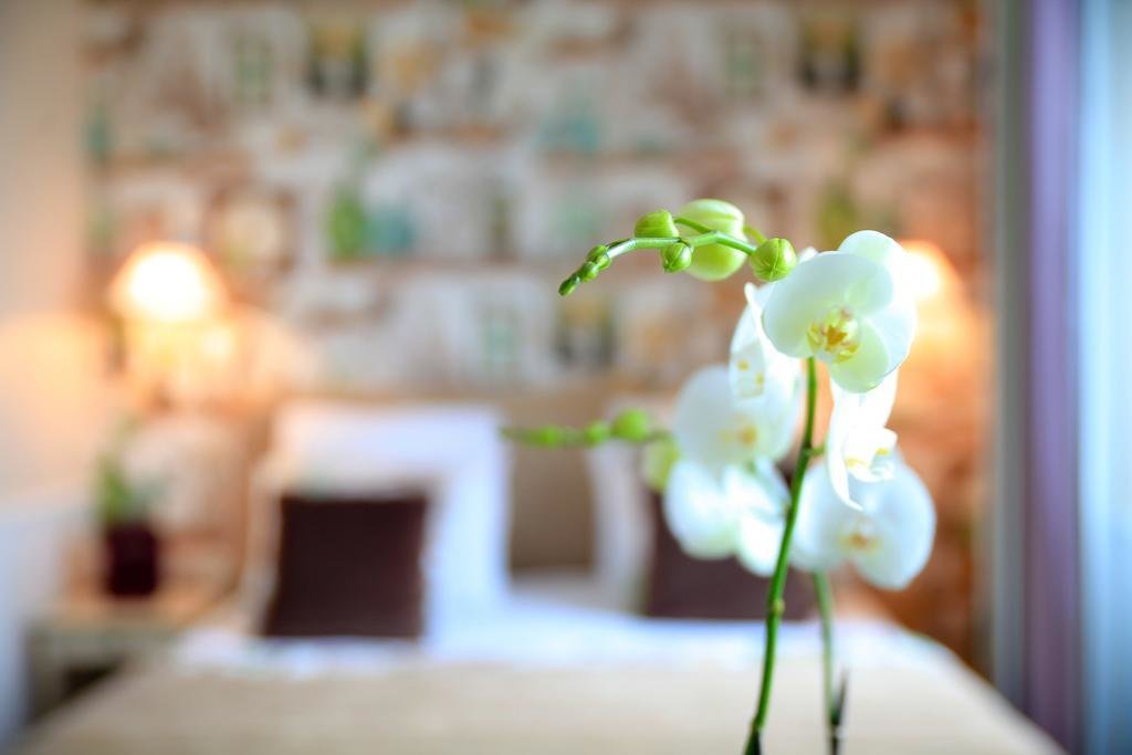 Hôtel Relais Saint Jacques 22