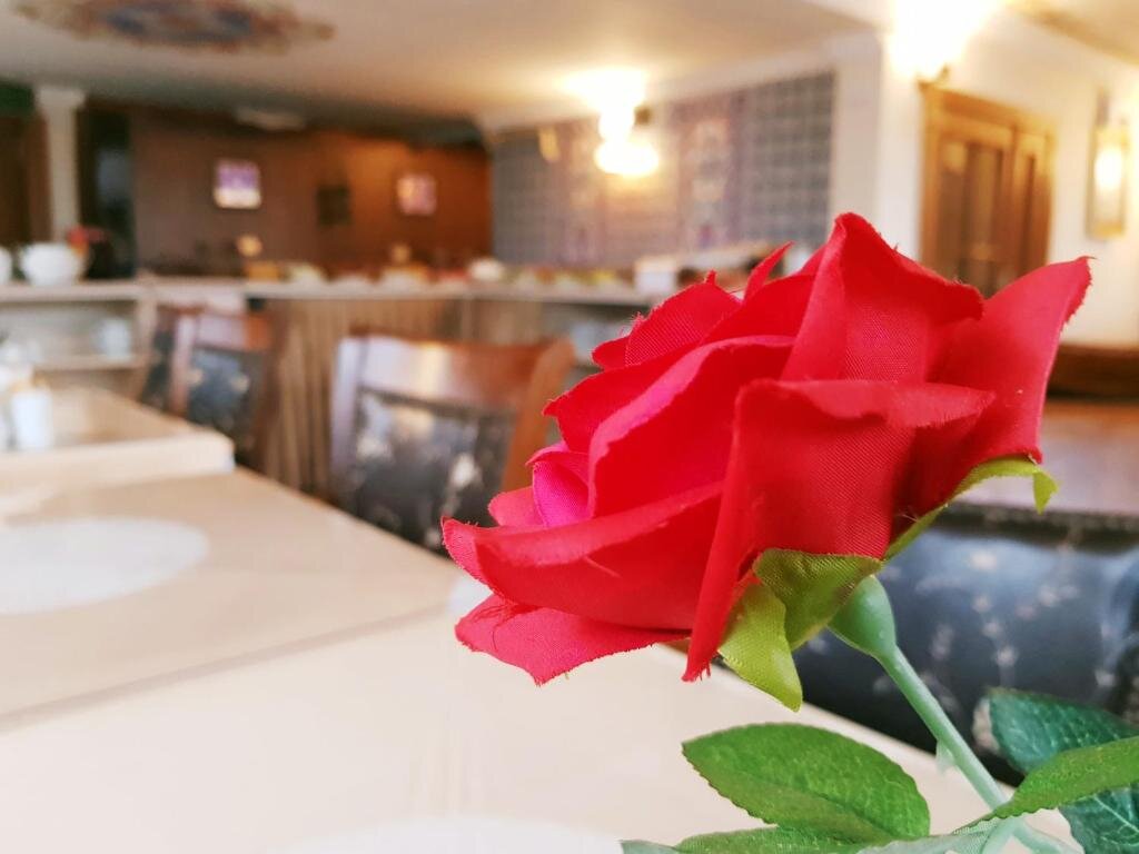 Aldem Boutique Hotel Istanbul 18