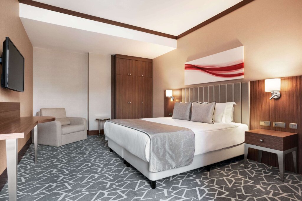 Ramada by Wyndham Istanbul Alibeykoy 10