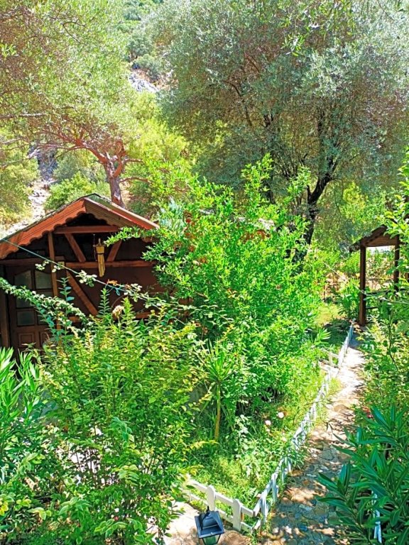 Canario Bungalows 2