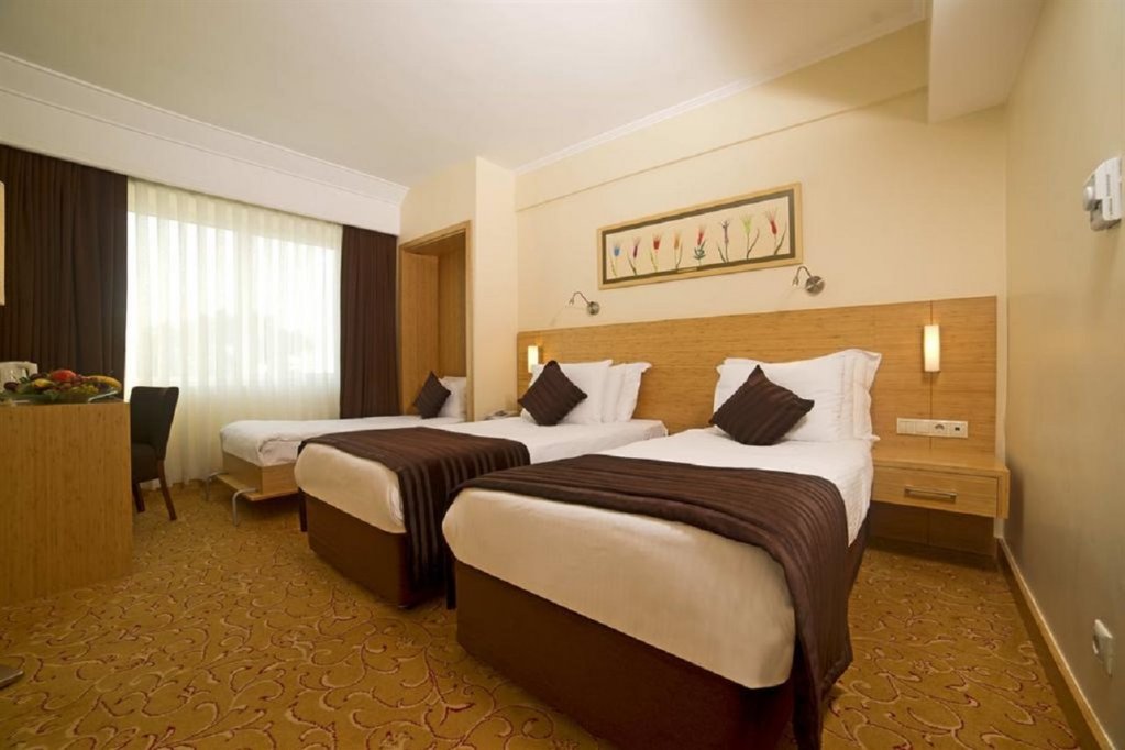 Radisson President Beyazit Istanbul 2