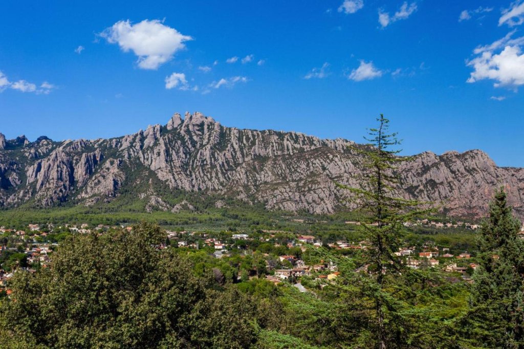 Montserrat Hotel & Training Center 14