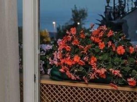 Walnut Shell Hotel 11