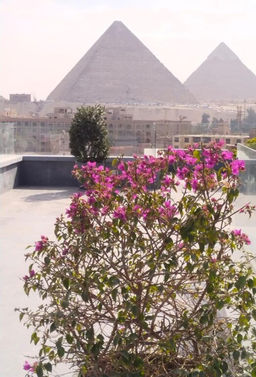 Pyramid Front Hotel 4