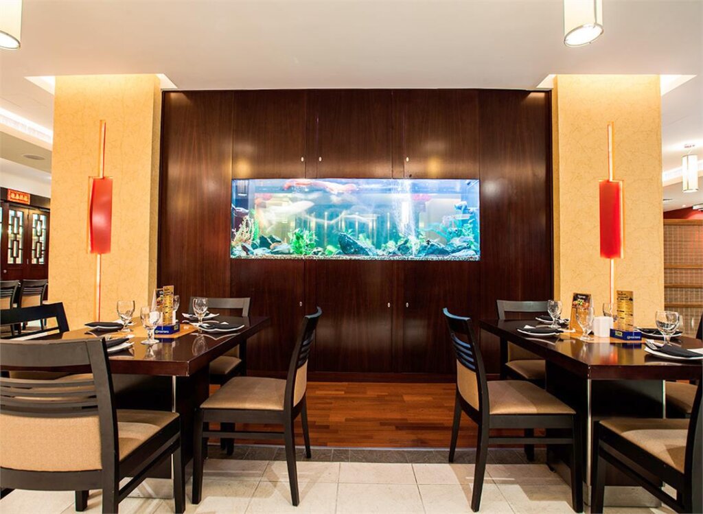 Citymax Hotel Al Barsha at the Mall 7