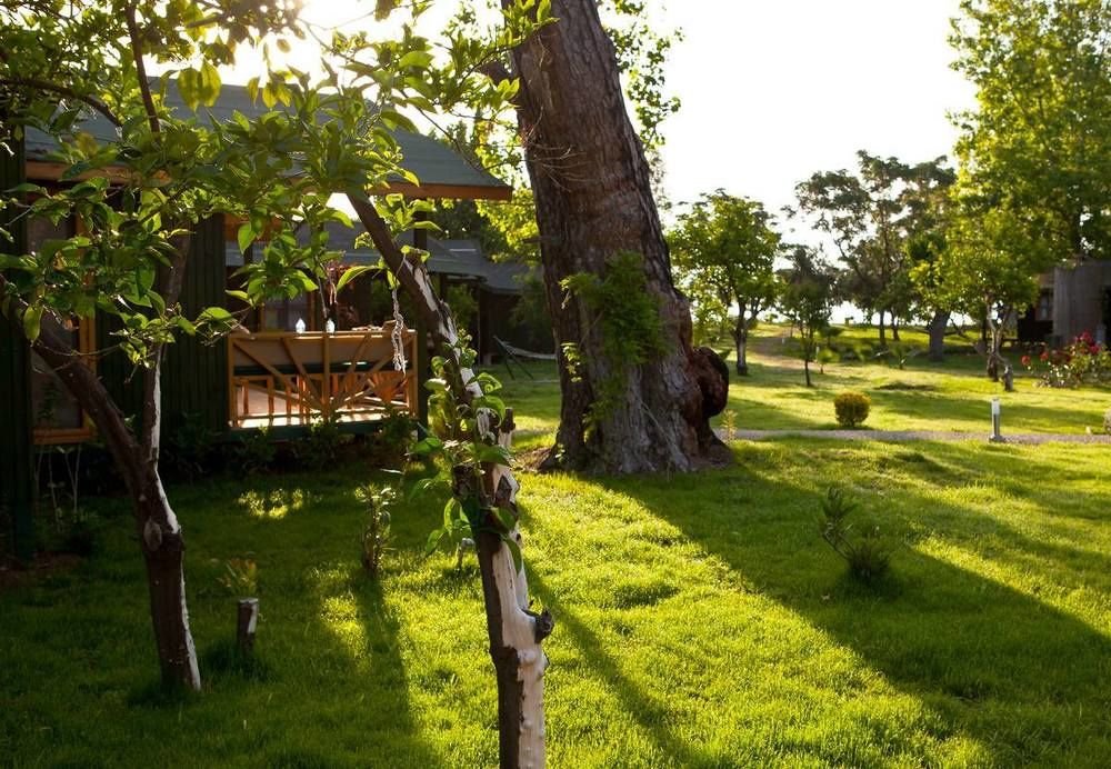 Etenna Beach Bungalows 17