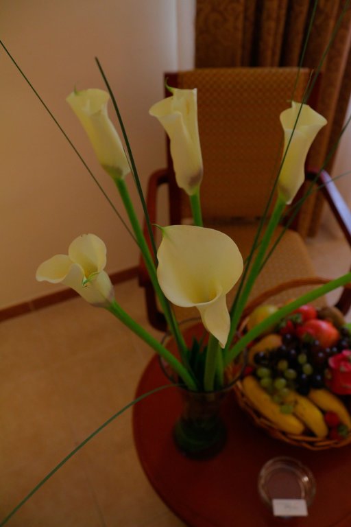 Sharjah Premiere Hotel Resort 18