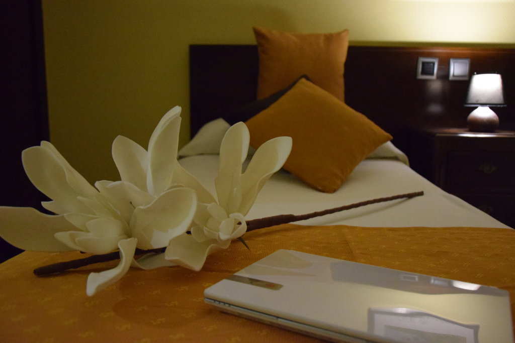 Hotel Complutense 11