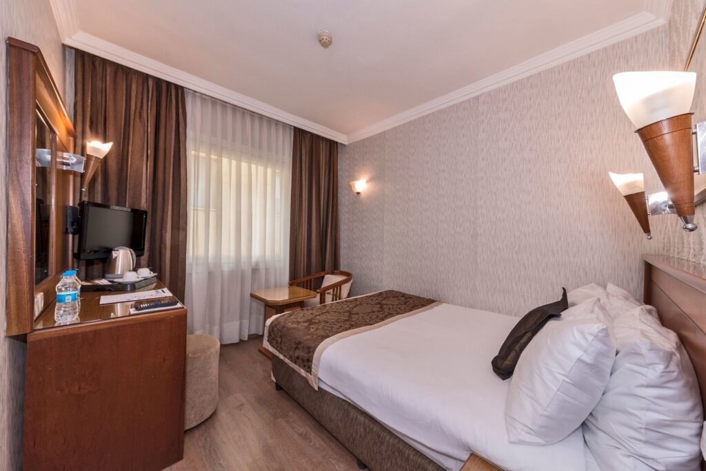 Lion Hotel 13