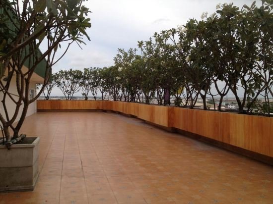 Latin Garden 12
