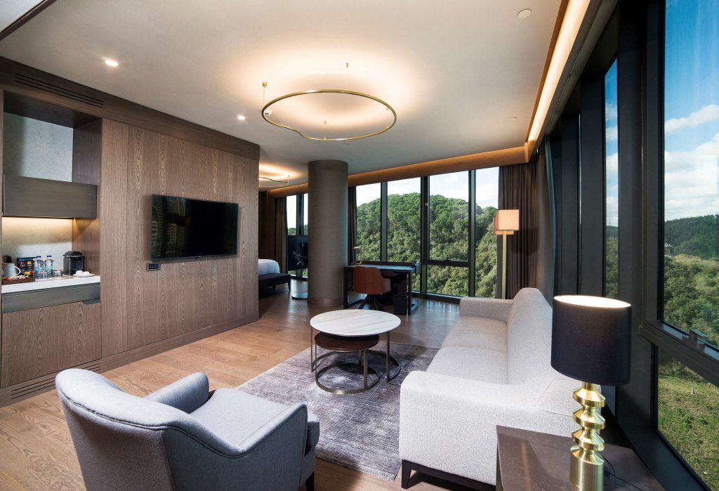 Radisson Blu Hotel, Vadistanbul 17