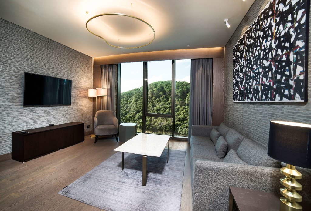 Radisson Blu Hotel, Vadistanbul 20
