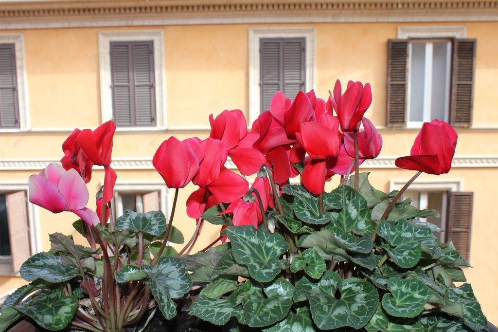 Hotel Garda 20