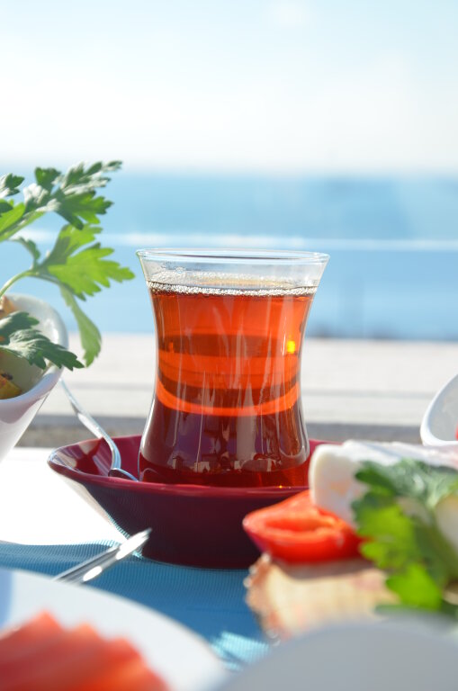 Hotel Fehmi Bey 13
