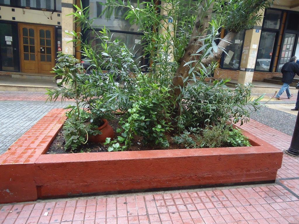 Cosmopolit Athens Hotel 11