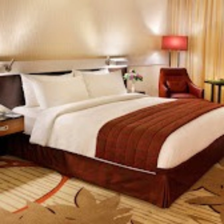 Excelsior Hotel Downtown 5