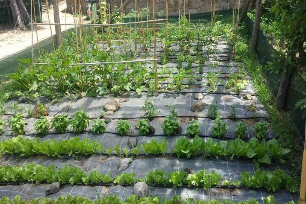 Relais Casale Antonietta 10