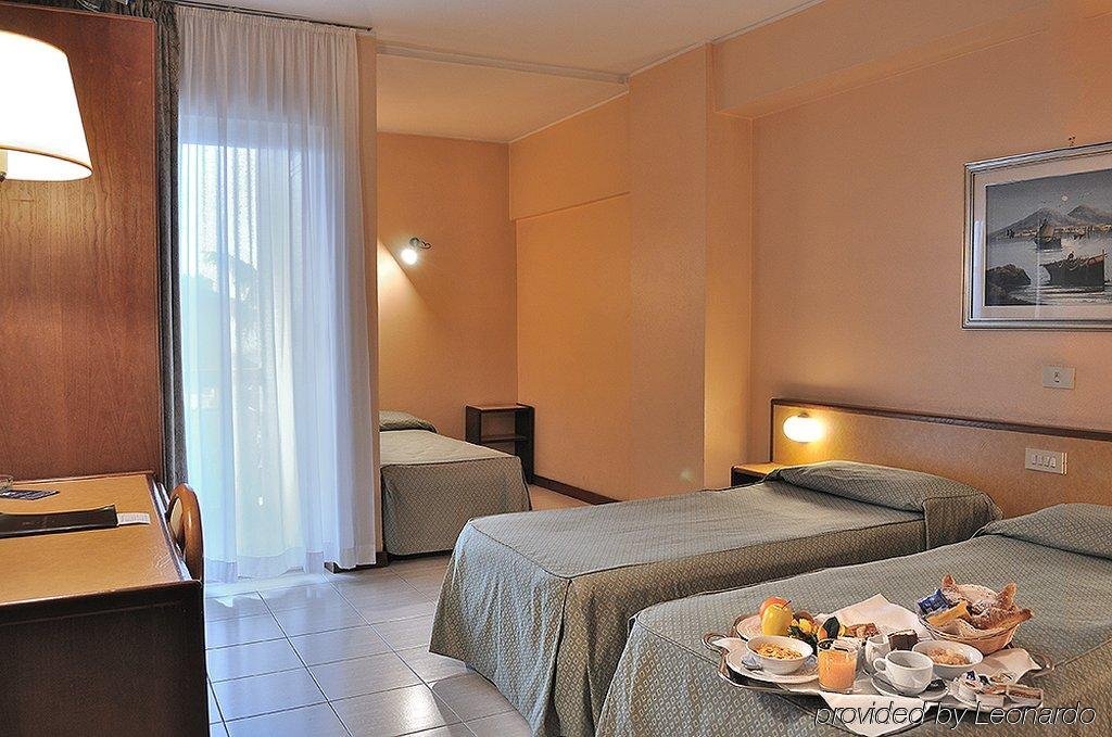 Hotel Pineta Palace 8