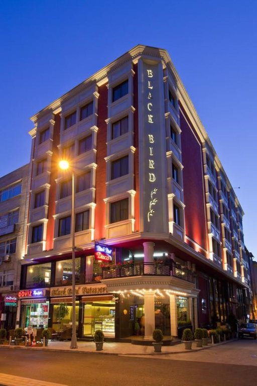 Black Bird Hotel 2