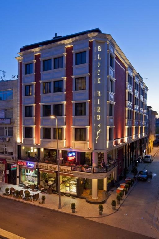 Black Bird Hotel 3