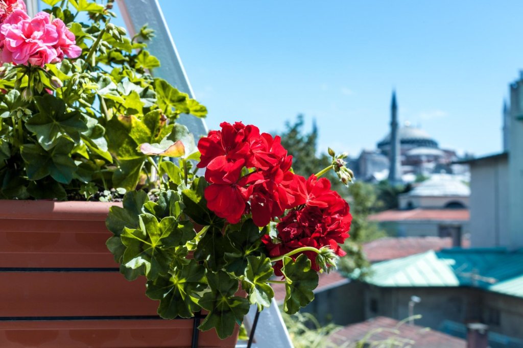 Sude Konak Hotel - Special class 12