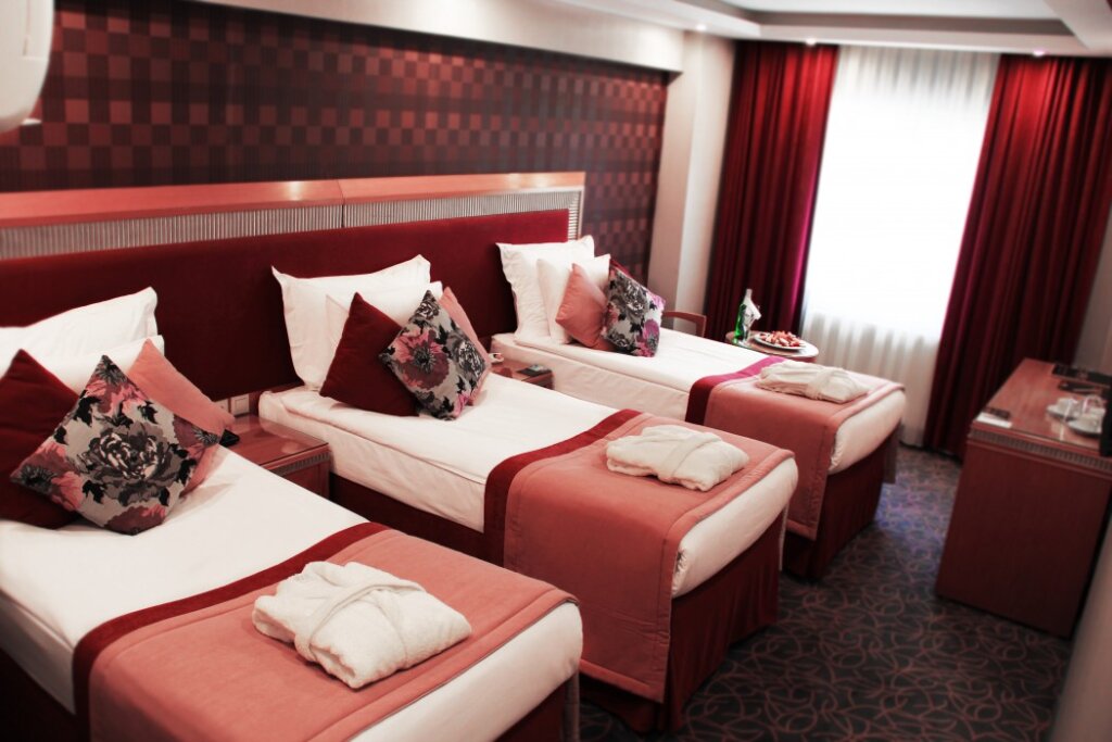 Carlton Hotel 3