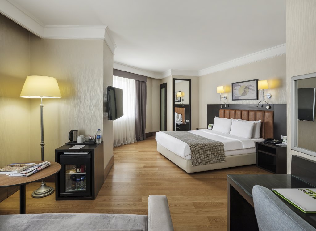 Holiday Inn Istanbul - Old City, an IHG Hotel 11